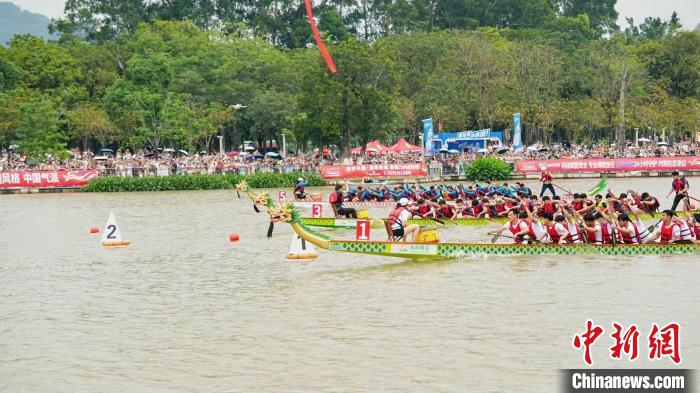 2025南沙龙舟大赛规模扩大 高校组创新吸引大学生