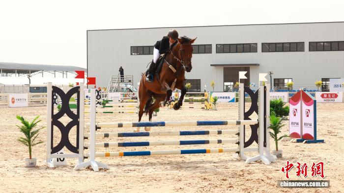 宁夏青少年马术锦标赛开赛 双料冠军闪耀赛场